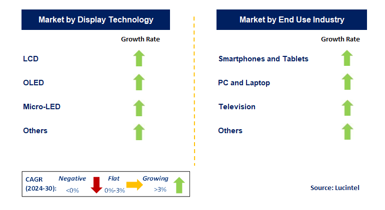 Display Panel by Segment